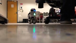 robot study