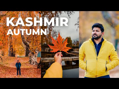 KASHMIR in AUTUMN | Itinerary, Stay & Expenses | Srinagar | Sunny Gala