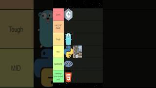 From Python to Minecraft Code Blocks… (Programming Language Tier List 2)