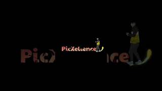 Animated Logo Making | @picxellencestudio |