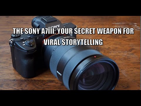 The Sony A7III: Your Secret Weapon for Viral Storytelling