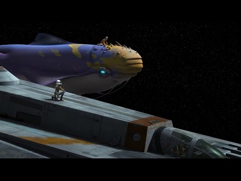 "Mask in Space" explanation for SWR S02E14 "The Call"