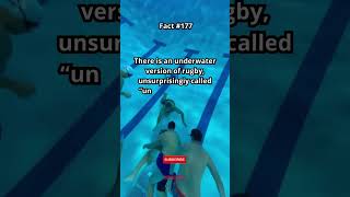 Underwater Rugby: Subaquatic Version of the Sport Emerges. Fact 177. 🏉🌊 #UnderwaterSports  #facts
