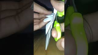 One Fold, One Cut – Spider Web Magic! 🕷️✂️🕸️ #shorts