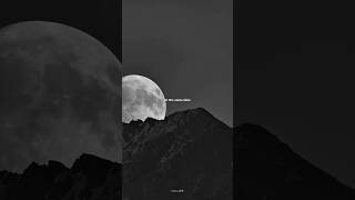 Daylight -David Kushner | lyrics | aesthetic |whatsappStatus | English songs | slowed | Tiktok#music