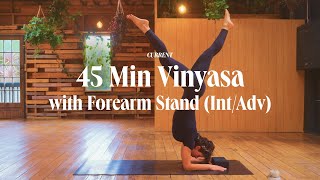 45 Min Vinyasa Flow with Forearm Stand (Int/Adv) - Upside Down Playground