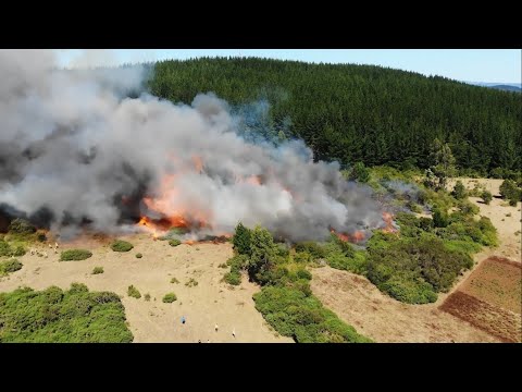 The End of Days: Earth-Moon Collision Scenario