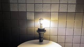 Back Light Demo on the D4A Adaptive Light Source