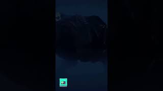 Stranger Things 5: Will Dart Reappear in Season 5? (Theory)