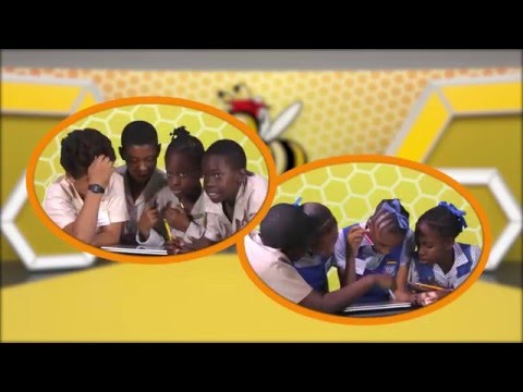11 Plus Challenge 2016 Promo