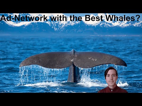 Top 10 Percent Spenders By Ad Network
