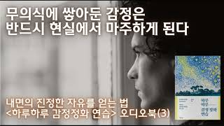 무의식에 쌓아둔 감정은 반드시 현실에서 마주하게 된다 | 내면의 진정한 자유를 얻는 법 [하루하루 감정정화 연습] 오디오북(3)
