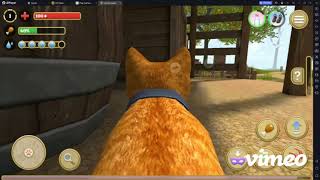 Cat Simulator | Episode 1