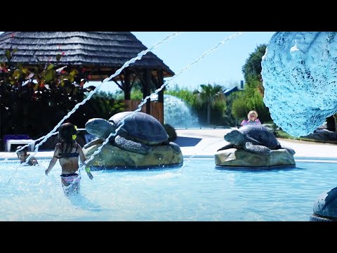 🌞 Camping 5 étoiles Le Dauphin | Une Nature Ensoleillée