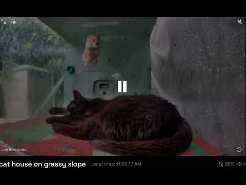 Meow.camera 5/20/25 CC Love Cat House