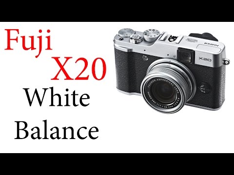 Fuji X20 White Balance