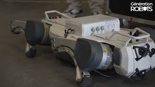 Deep Robotics Quadruped Robot X30 – Field test by our engineers ✅