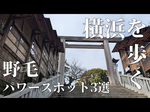 【横浜散歩】野毛パワースポット3選を歩く🦒