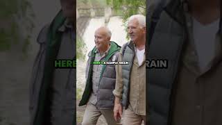 Solo Seniors: Do THIS Every Day for a Sharper Mind #HealthyAging #MemoryBoost #SeniorHealth #Senior