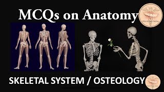 Anatomy MCQs  - Skeletal System / Osteology