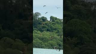 Langkawi’s island#increasewatchtime #increasesusbcribers #increaseviews #incresesubscriber
