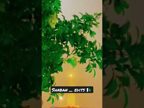 kitab e Dil pr HUSSAIN likhna ||| Status vedio ||| #tehreeklabbaikpakistan