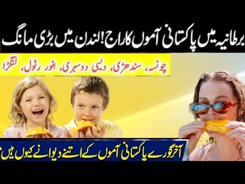 Pakistani Mango |WORLD FAMOUS PAKISTANI MANGOES|