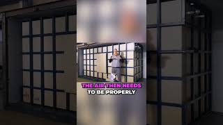 Challenges faced when installing and maintaining a biofilter system in production areas with limited