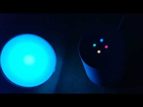 Google Home Quiz made by 10 year old