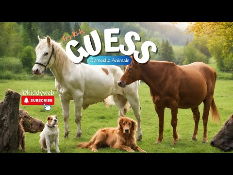 🐾 Fun Domestic Animals Quiz for Kids : Discover Amazing Animals! 🐶🐱🐰