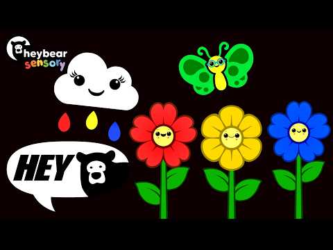 Hey Bear Sensory - Colourful Journey - High Contrast Animation with Classical Music -