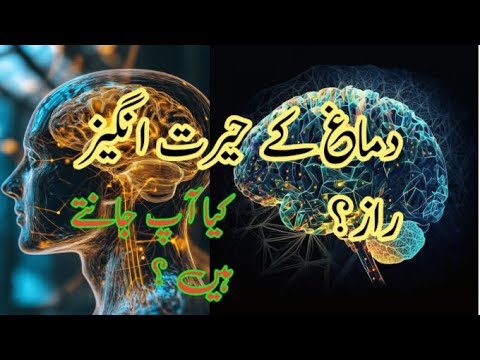 Insani Dimag Ke Woh Raz Jo Aap Ko Hairan Kar Denge Urdu/Hindi | Hidden Secrets of the Human Brain
