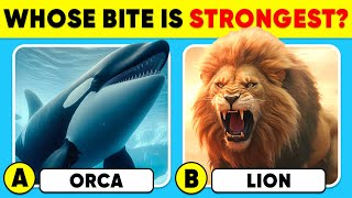 How Well Do You Know Animals? 🐳🦁✅ General Knowledge Trivia Quiz