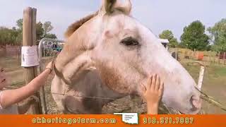 OK Heritage Farm Fall Festival Now through October 29th