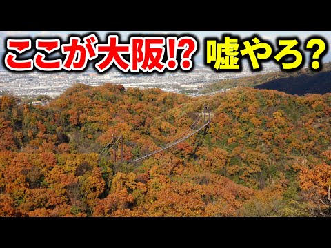 【必見】大阪にこんなところが⁉絶景すぎる穴場観光スポット「星のブランコ」