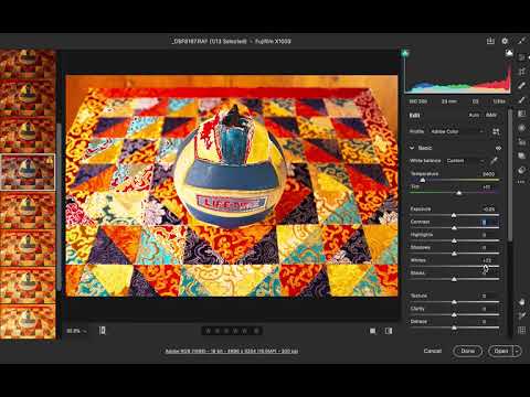 Digital Demo #10  Basics Panel / Histogram
