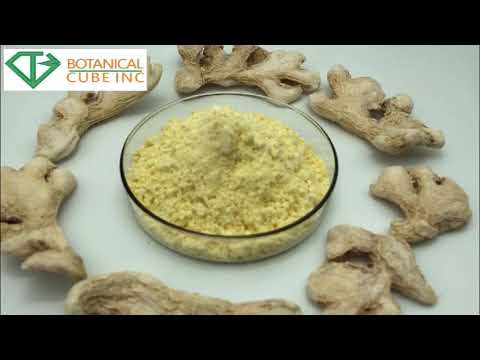 Factory supply ginger extract for functional drinks, health care supplyment