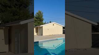 #mural #painting #muralwork #muralart #artwork #shorts