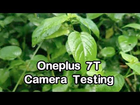 OnePluse 7T Camera Review | Oneplus 7T Slow Motion Video Test| Techni Kennady