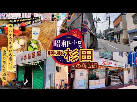 【横浜・杉田】マツコも絶賛した伝説の角打ち酒店🍶今行くべき 昭和レトロな商店街と路地裏さんぽ