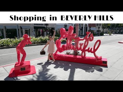 SHOPPING RODEO DRIVE BEVERLY HILLS For a New Work Bag | CJ in SoCal VLOGs