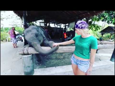 Thailand fitness at Tiger Muay Thai, elephants, Buddha and sunsets