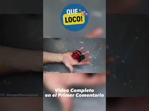¿Sabías esto? :0 | Que loco! 25 cosas que no sabias hace 5 minutos #shorts #short #divertido