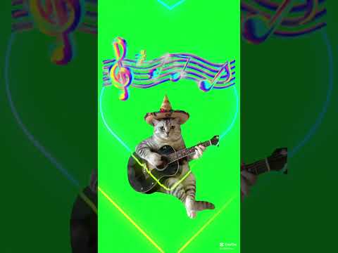 Cute Cat Plays Incredible Guitar to Help You Relax!#MusicForRelaxation #AdorableCat