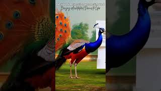 Experts Reveal Top 3D Design Secrets