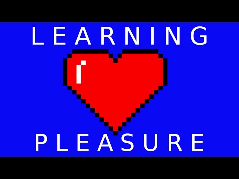 There is No Good Learning Without Pleasure: A Summary