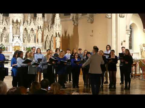 Down By The Salley Gardens arr  Seán Doherty - DCU Chamber Choir, Kevin Boushel