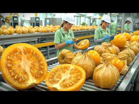 Inside a High-Tech Golden Berry Jam Factory | Full Cooking & Jar Sealing Process (Factory ASMR)
