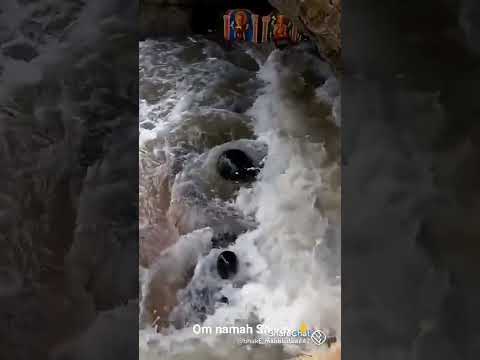 Om namah # shivay ## jai bholenath # Har har ganga.