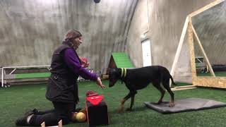 Visual match-to-sample